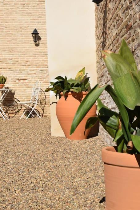 Casa De La Abuela Dolores Villaverde del Rio المظهر الخارجي الصورة